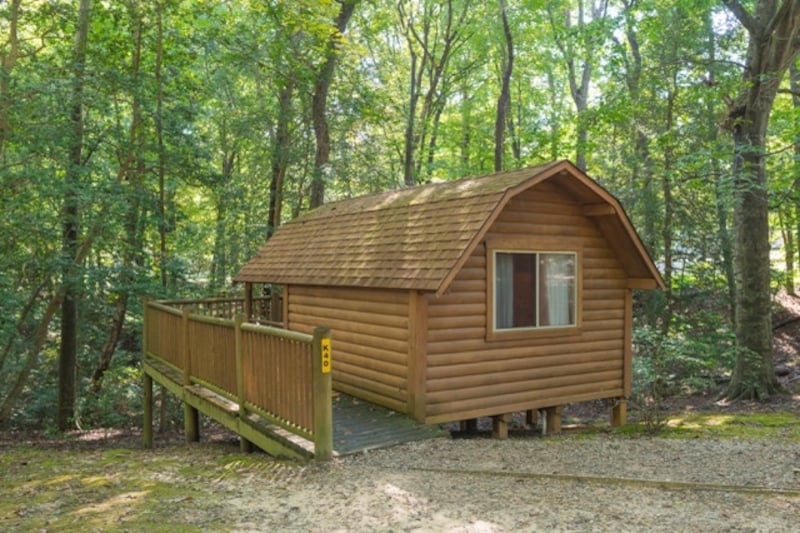 1-Room Rustic Cabin - Lower-1